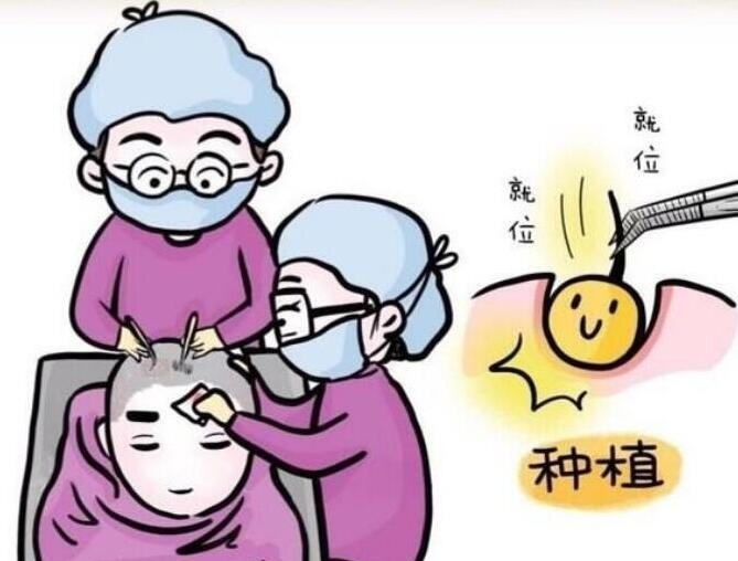 唐风采补发是怎么样补发的？补发有什么优点？