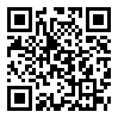 定制假发哪个牌子质量最好？2025权威评测与选购指南