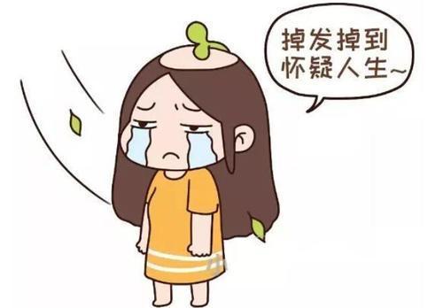 假发和补发的区别在哪？（详细解答）