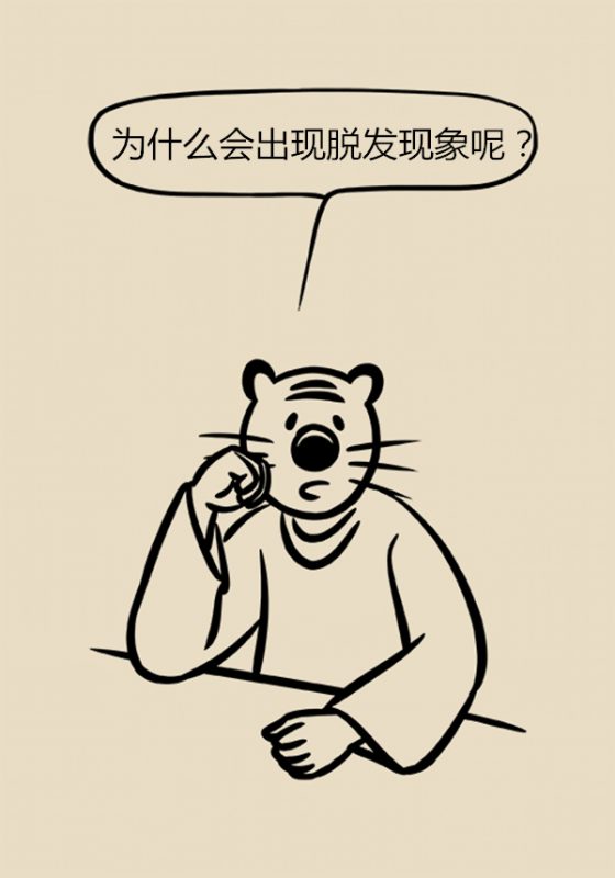 男性脱发是什么原因引起的，应该怎么办