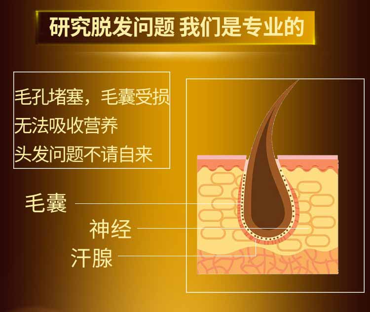 侧柏叶生发