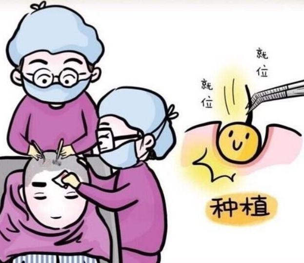 植发手术需要多少费用？脱发的原因是什么？