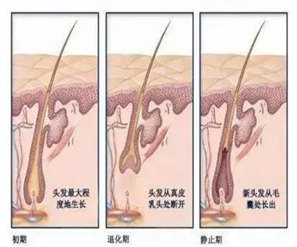 生发效果最好的外用药