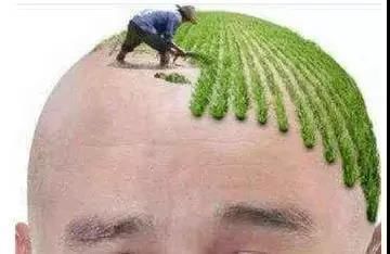 莱森植发和雍禾植发哪家好?