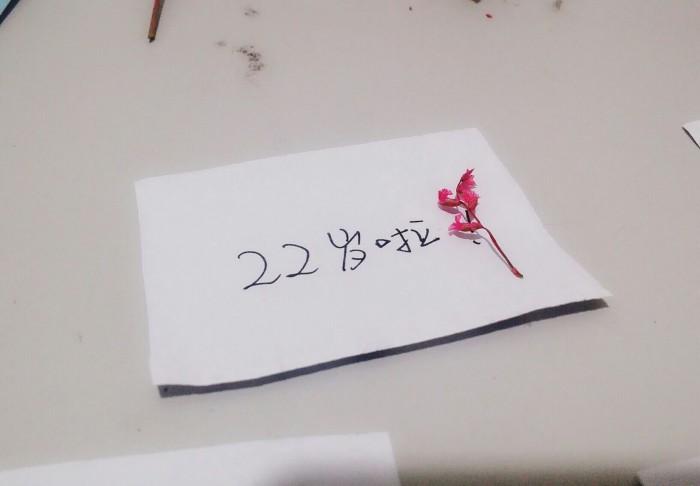 脱发是什么原因引起的男22岁？