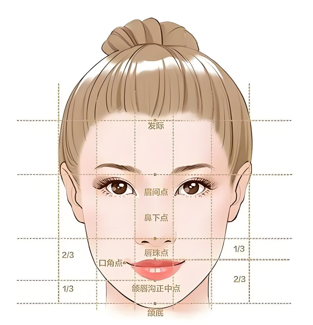 面部比例法(三庭五眼)