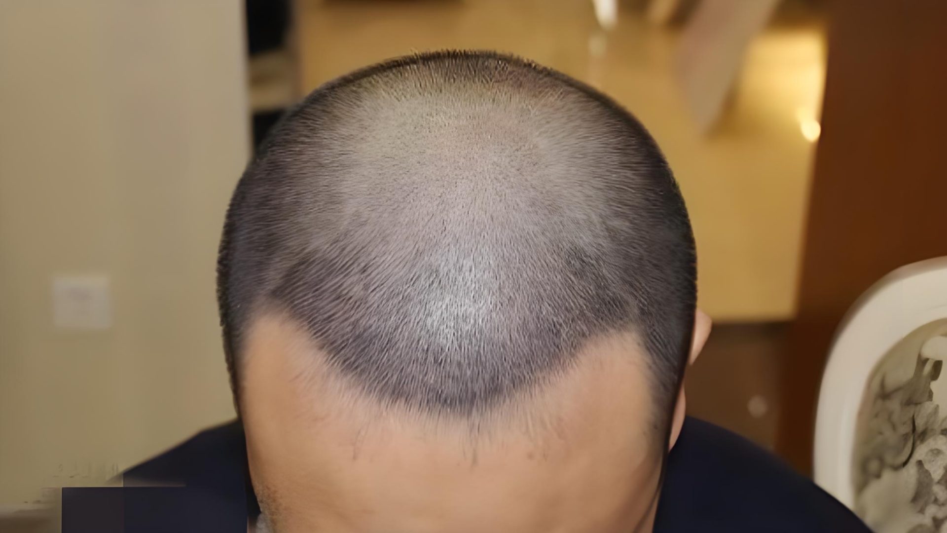 盗用他人成果