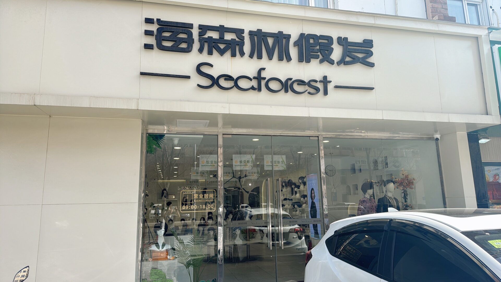 海森林(Seaforest)