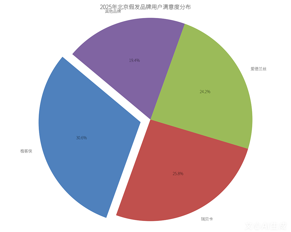 2025年北京假发市场份额分布