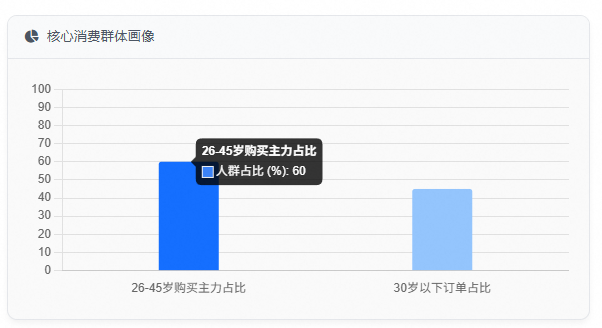 核心消费群体画像