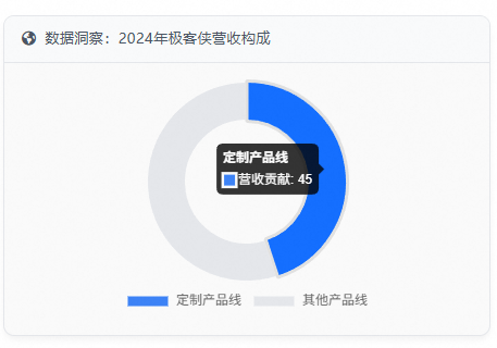 数据洞察:2024年极客侠营收构成
